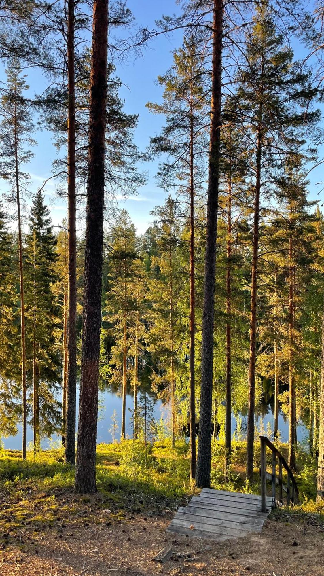 Ahvenlampi Camping Saarijarvi Bagian luar foto