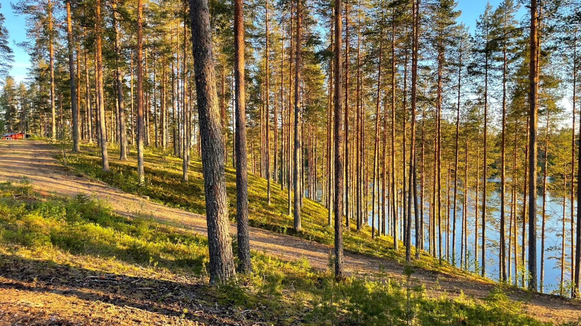 Ahvenlampi Camping Saarijarvi Bagian luar foto