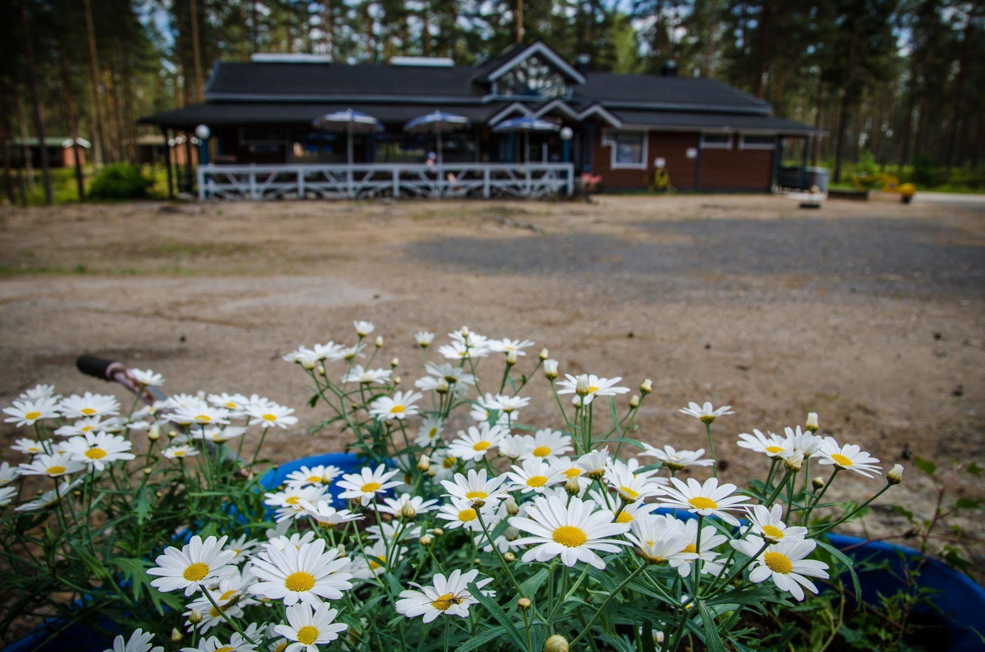 Ahvenlampi Camping Saarijarvi Bagian luar foto
