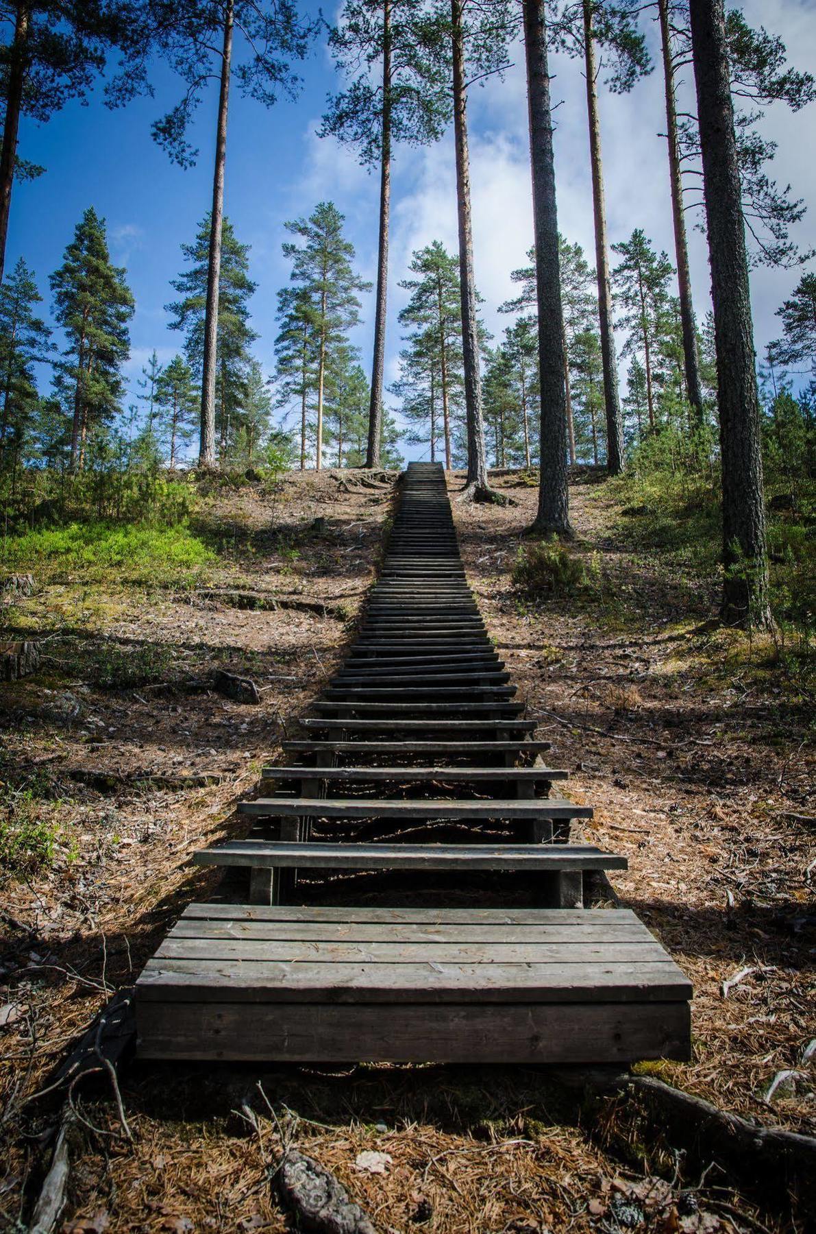 Ahvenlampi Camping Saarijarvi Bagian luar foto